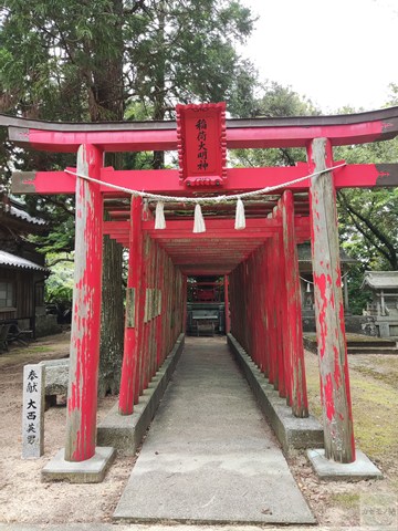 稲荷大明神の連続する赤い鳥居が参道を彩る。神域の奥へ誘われる感覚。