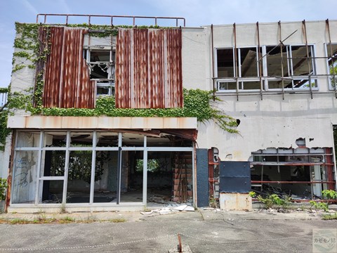 現在も構造を保ったまま残る廃墟A。自然に飲み込まれながら、静かに立ち尽くす。