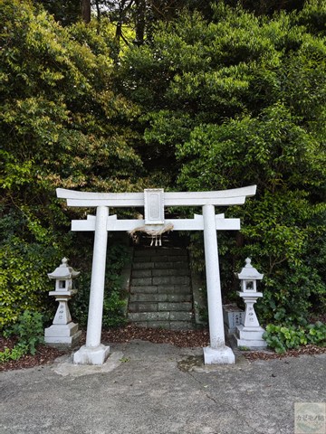 嶋土神社の鳥居。地域に守られた静かな神社。