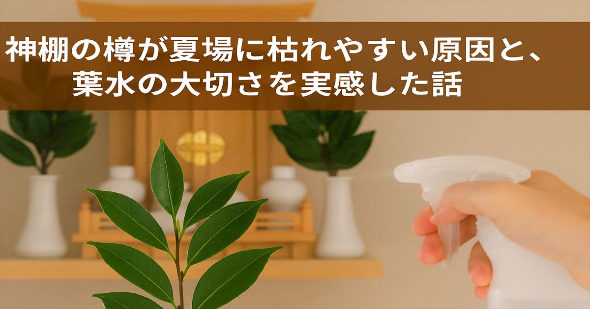 神棚に祀られた榊の枝に霧吹きで葉水をしている様子。夏場の乾燥対策として榊を長持ちさせるためのケア。