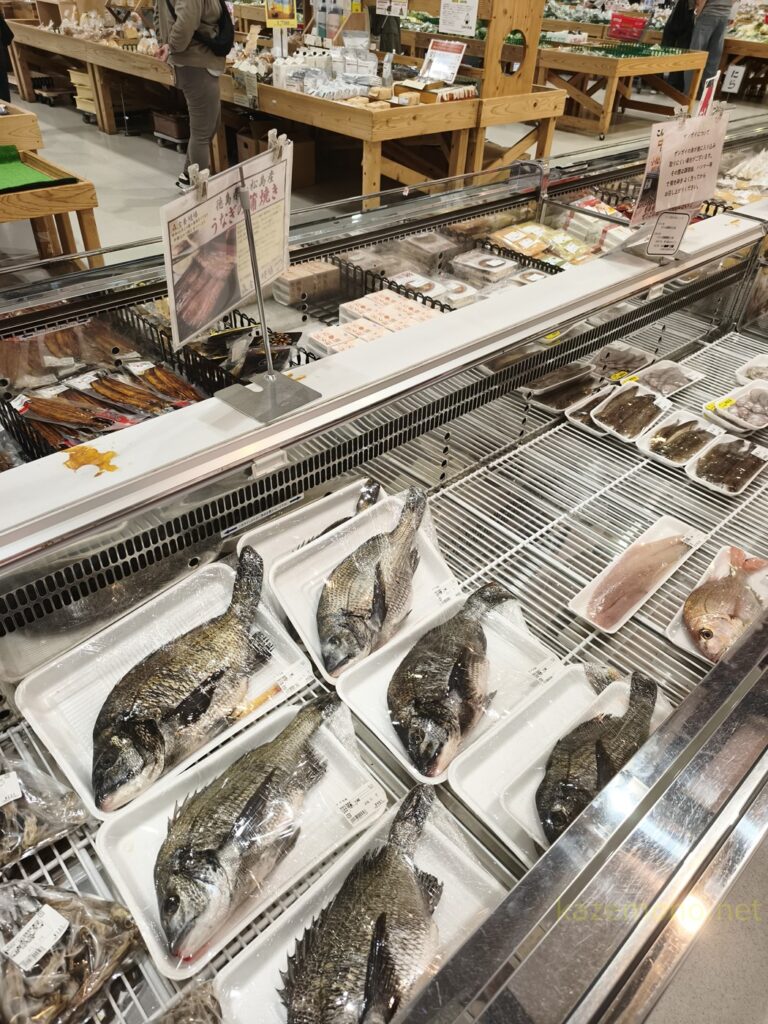 魚コーナー