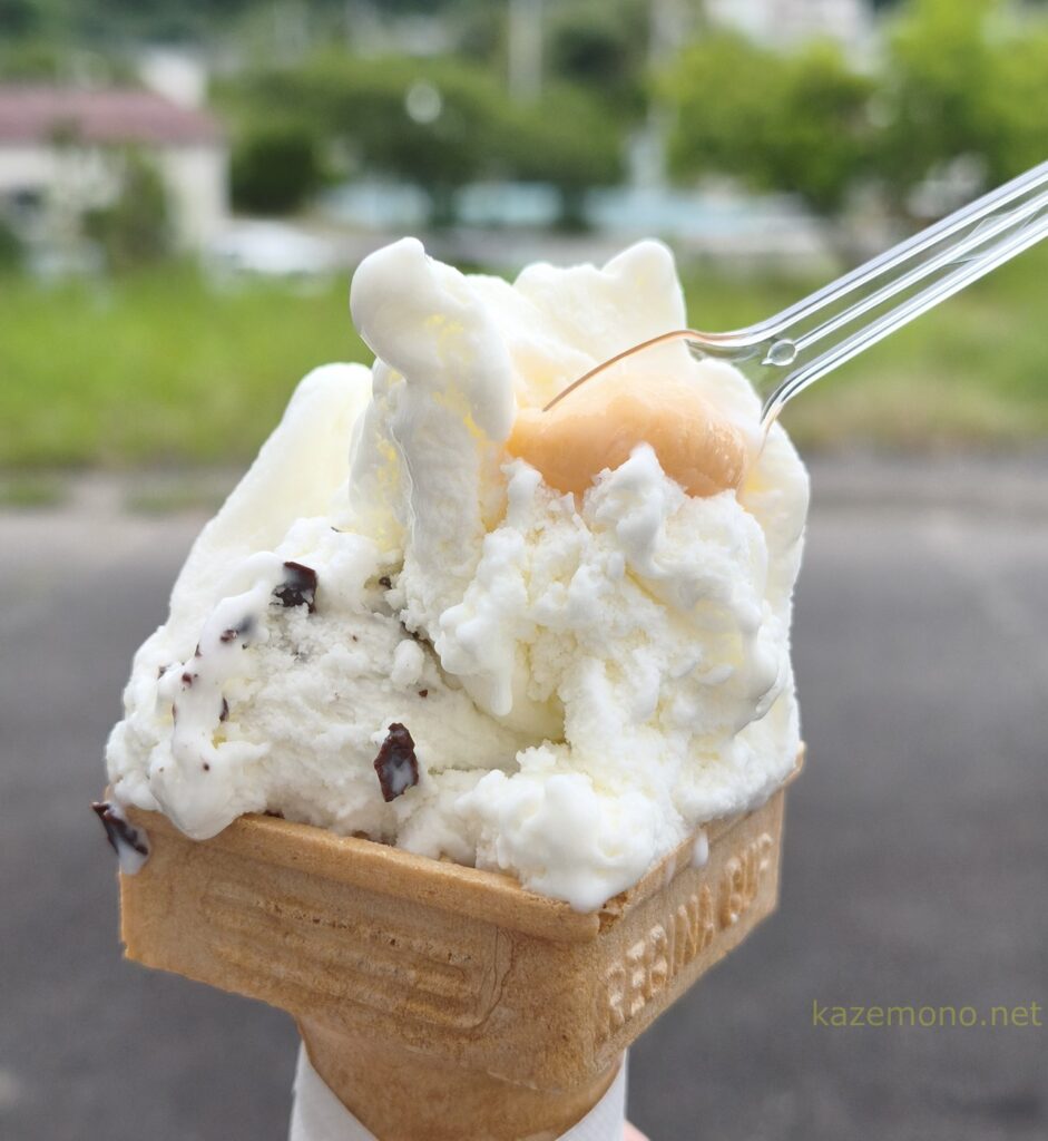 チョコチップとミルクのダブルジェラートにキャラメル付きスプーンが添えられている