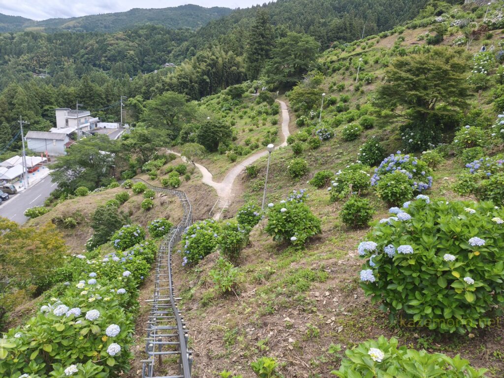 モノレールから見えるあじさいの里の斜面と景色