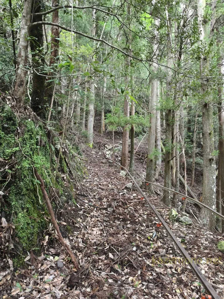 下司橋対岸の小屋付近から山へ伸びる一本のレール