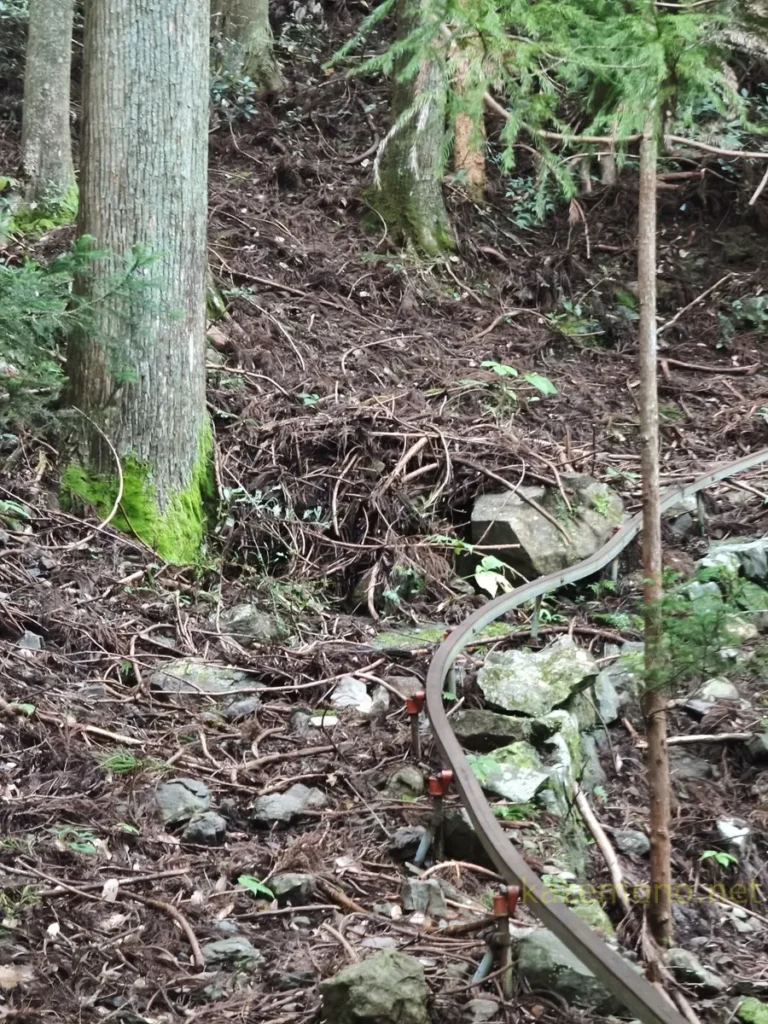 山へ伸びるレールと付近に残る石や枝
