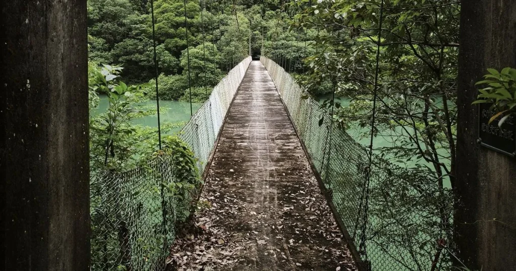 国道195号側から対岸の山へ伸びる下司橋