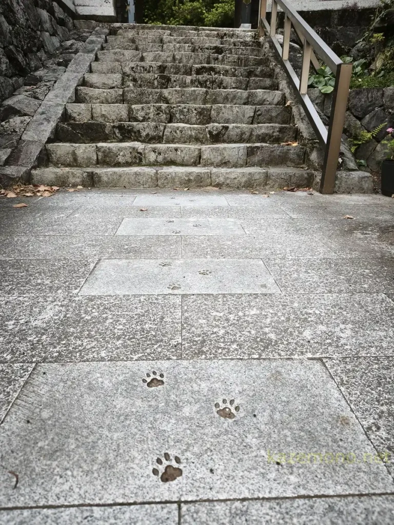 お松大権現の参道にある猫の足跡