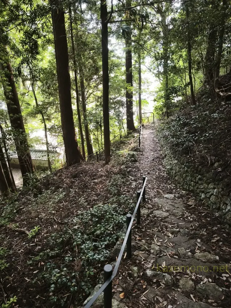 木々に囲まれたお松大権現の「ねこの細道」