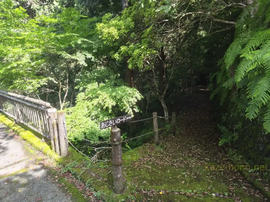 明神の滝への降り口を探す目印になった道路沿いの自動販売機