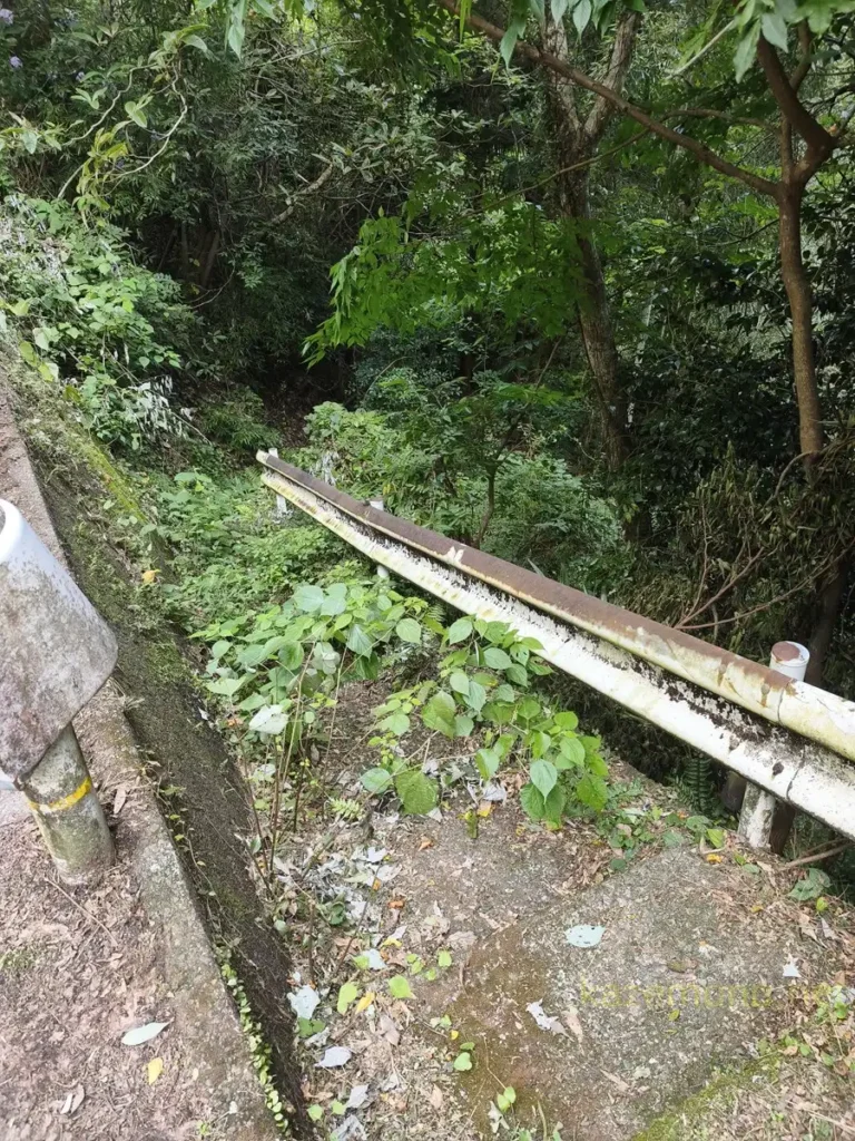 草が茂った明神の滝への降り口